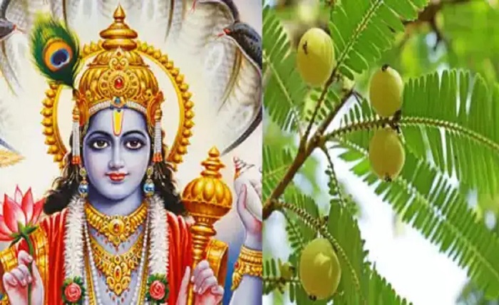 gyaras kab hai